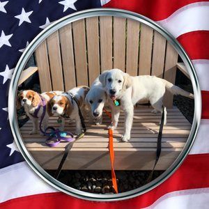 Meet your Posher, Cathy